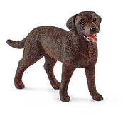 labrador retriever femmina