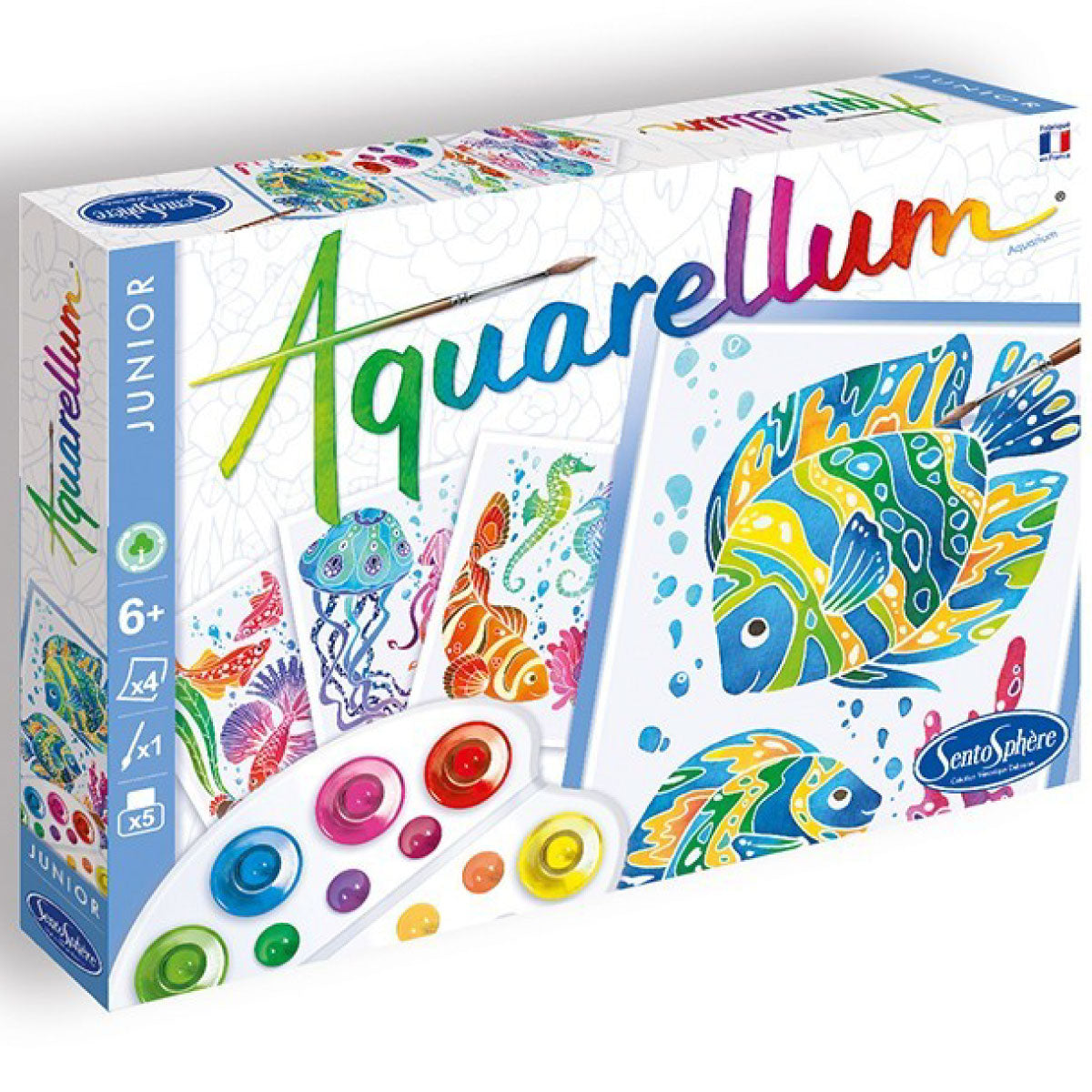 aquarellum junior - acquario