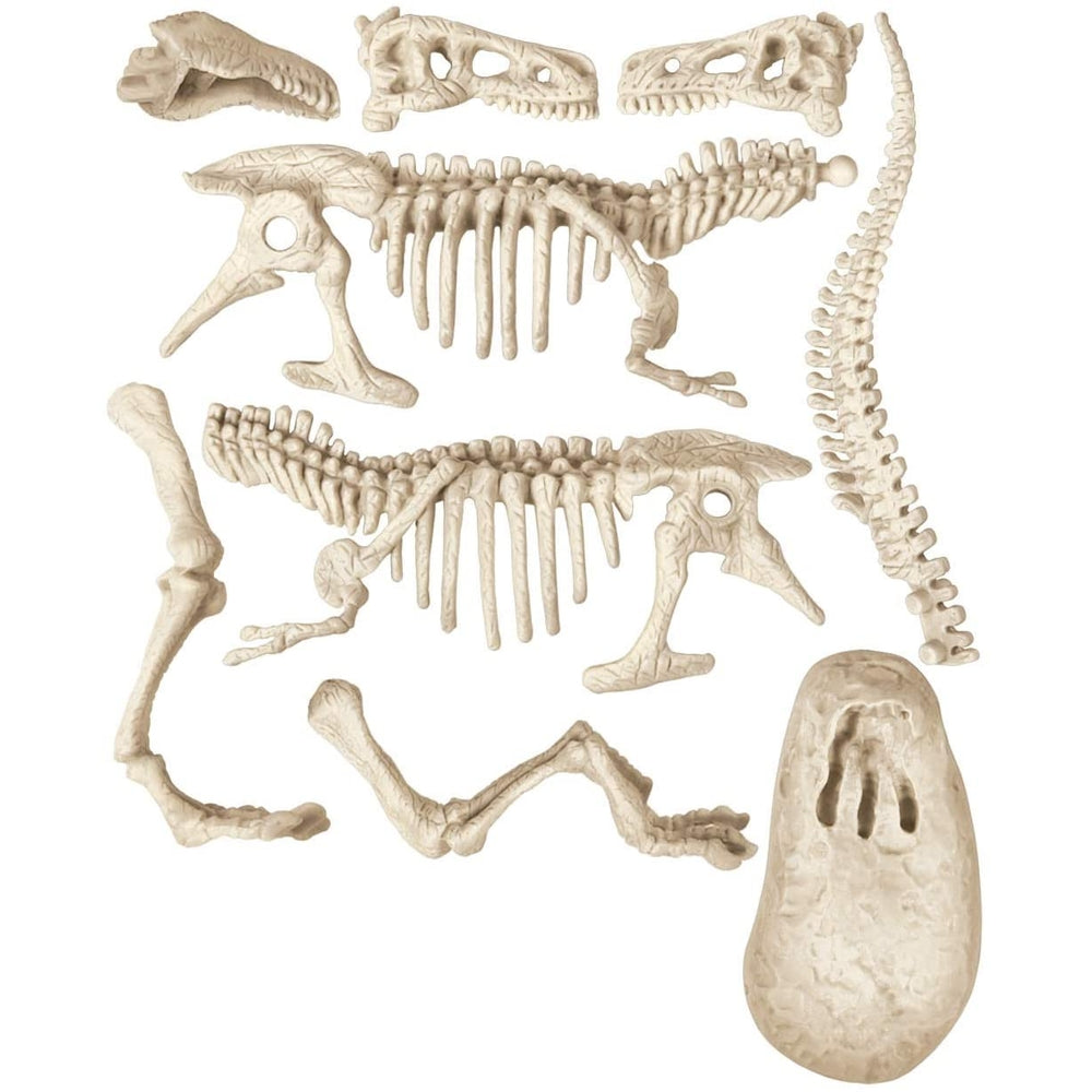scienza e gioco - archeogiocando t-rex luminoso al buio