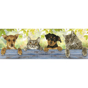 hang in there - diamond dotz intermediate dd9.044 81x28cm