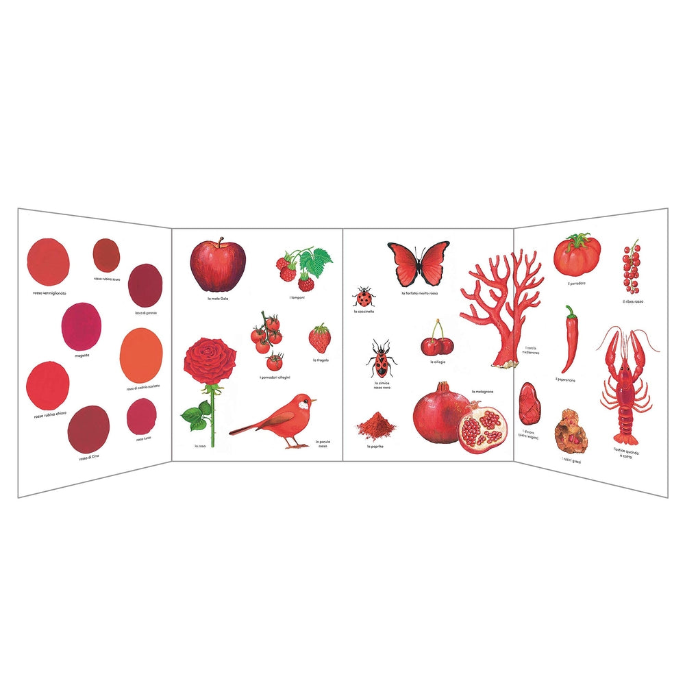 rosso come.... ediz. illustrata