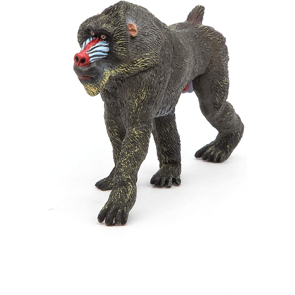 mandrill