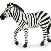 zebra maschio