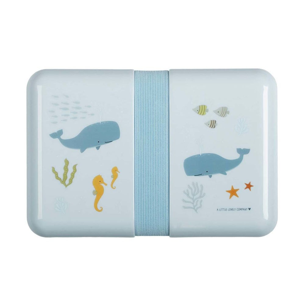 oceano - contenitore porta pranzo da decorare