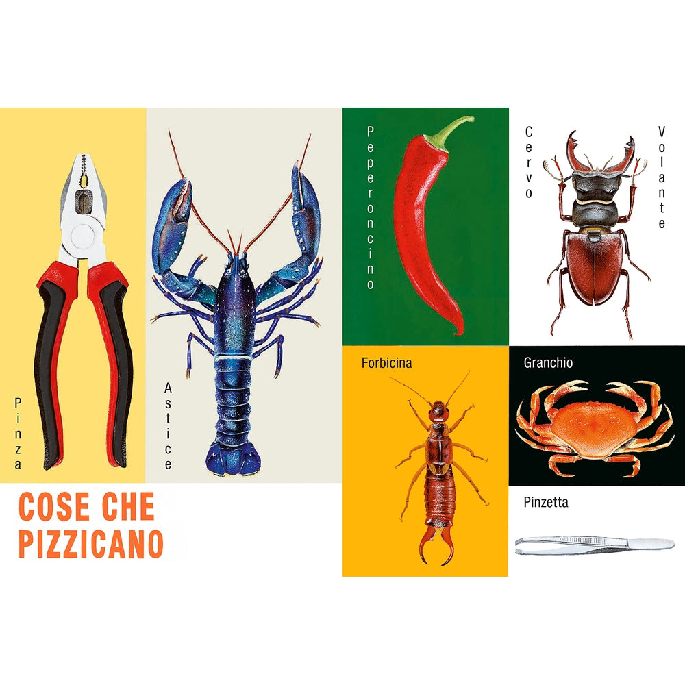 cose così cose cosà. ediz. a colori