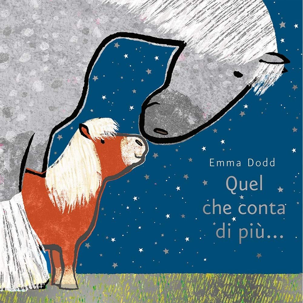 quel che conta di più.... ediz. illustrata