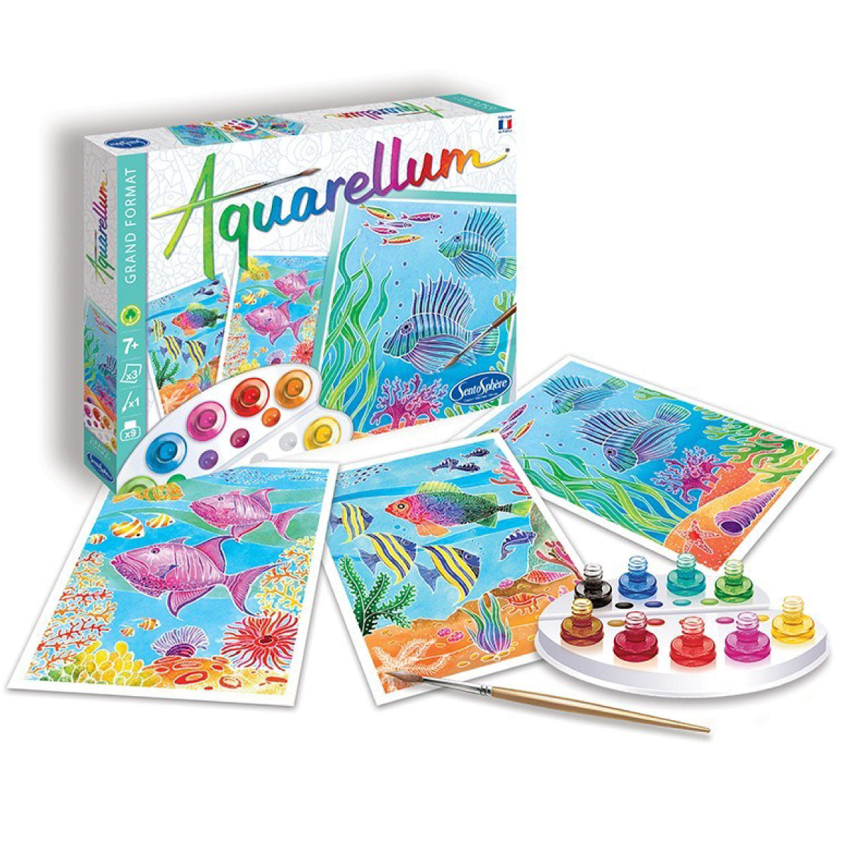 aquarellum - barriera corallina
