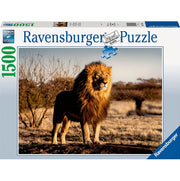 il leone, re degli animali - puzzle 1500 pezzi