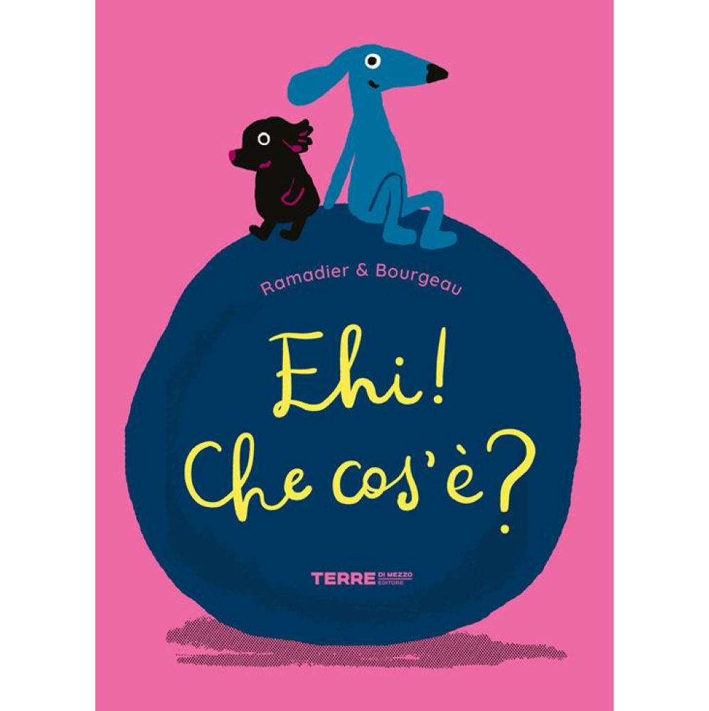 ehi! che cos'è? ediz. a colori