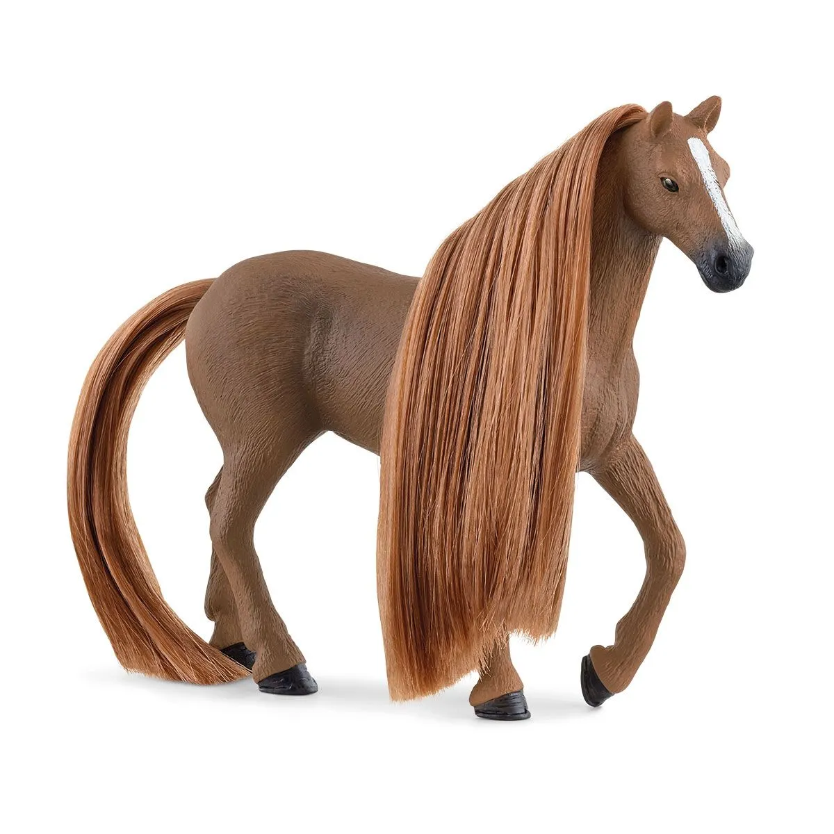 beauty horse con giumenta purosangue inglese