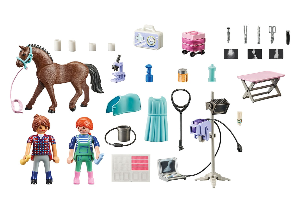 veterinaria del maneggio