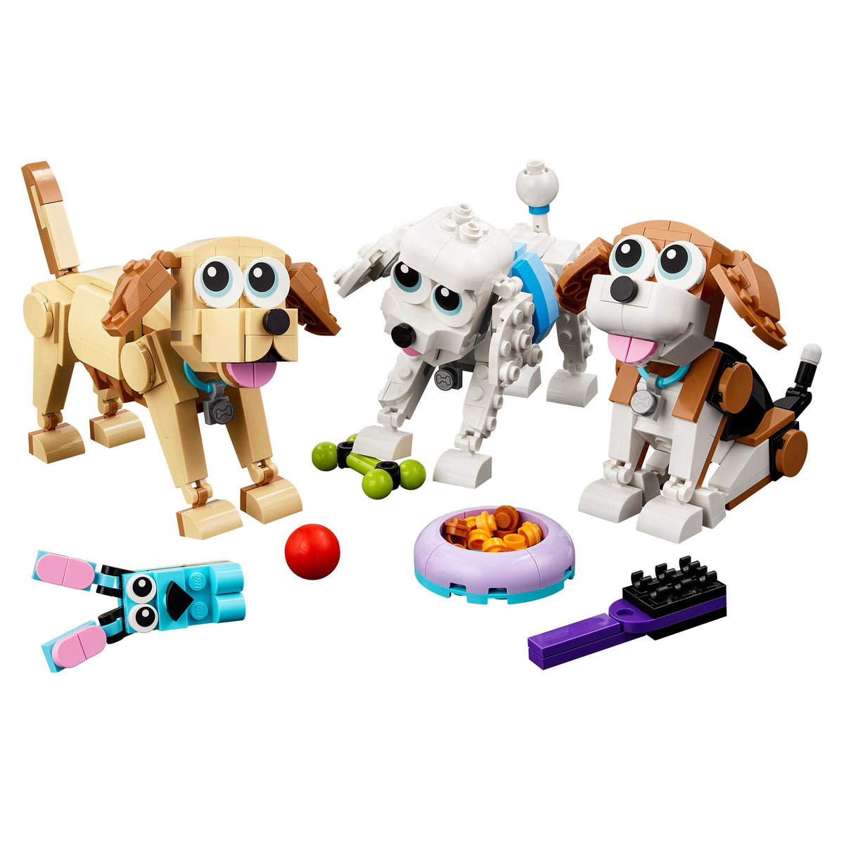 31137 - adorabili cagnolini