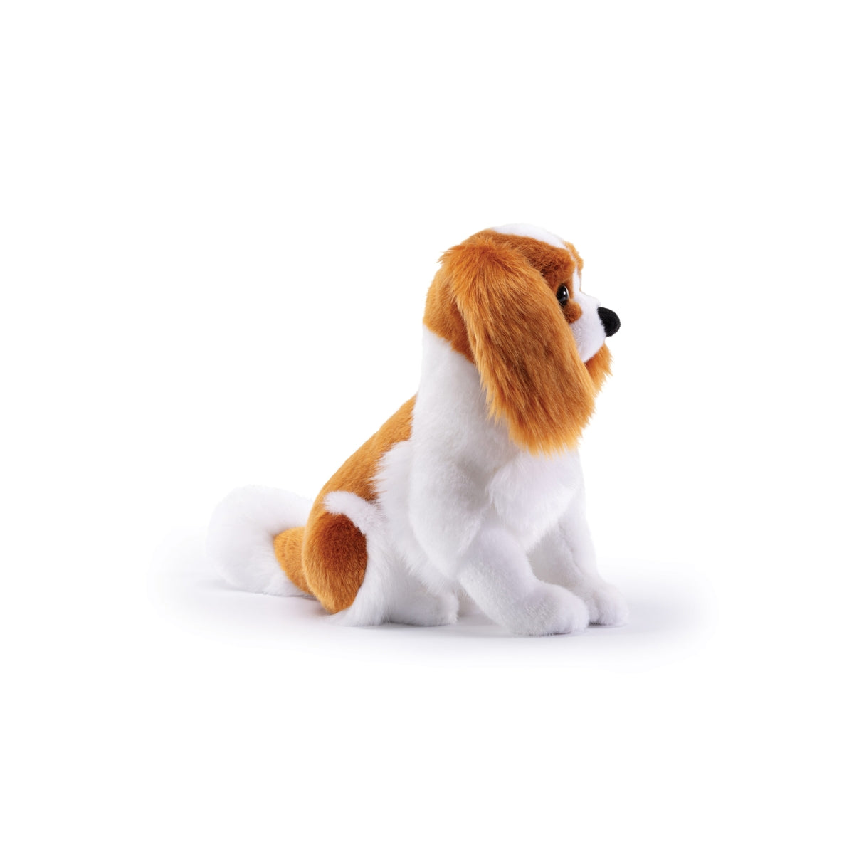 trudi cavalier king marley taglia m