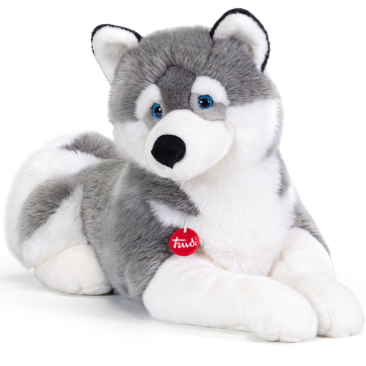 husky marcus - peluche 80cm