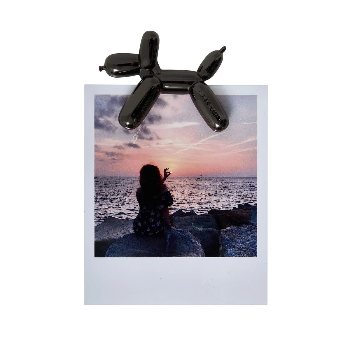 lucky - portafoto magnetico - cane