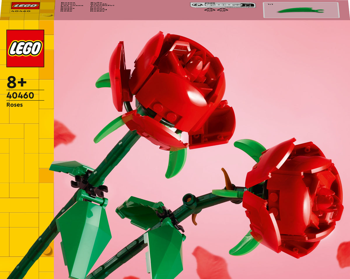 40460 - rose