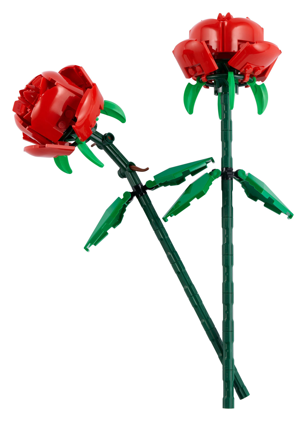 40460 - rose