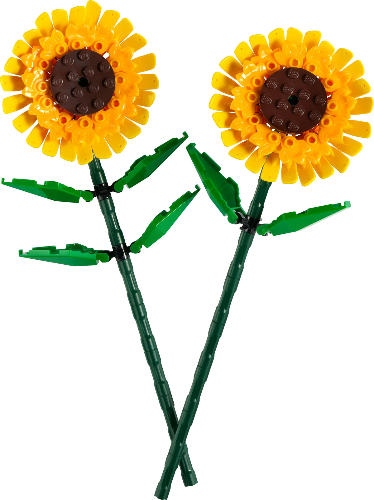 40524 - girasoli