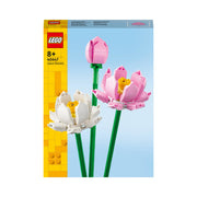 40647 - fiori di loto