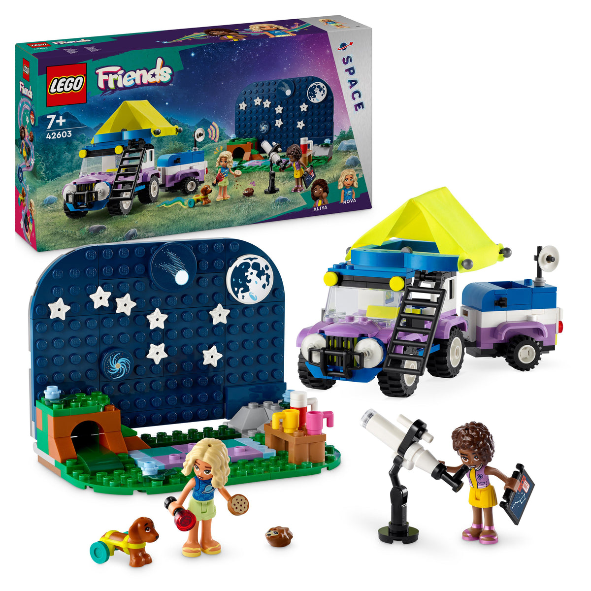 42603 - camping-van sotto le stelle