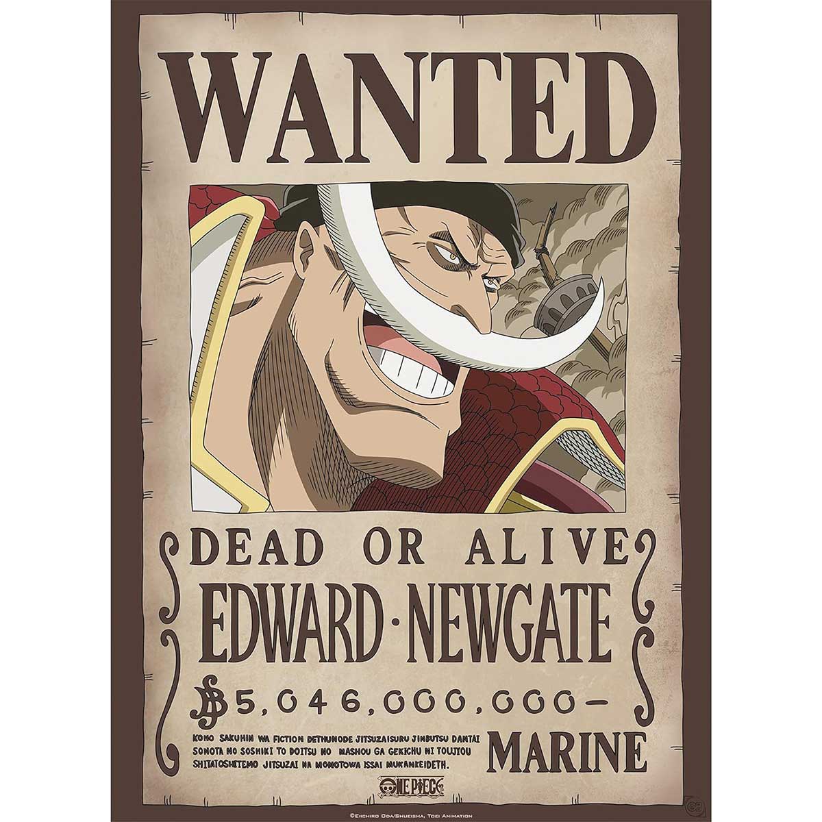 one piece - poster maxi 91,5x61cm - wanted whitebeard