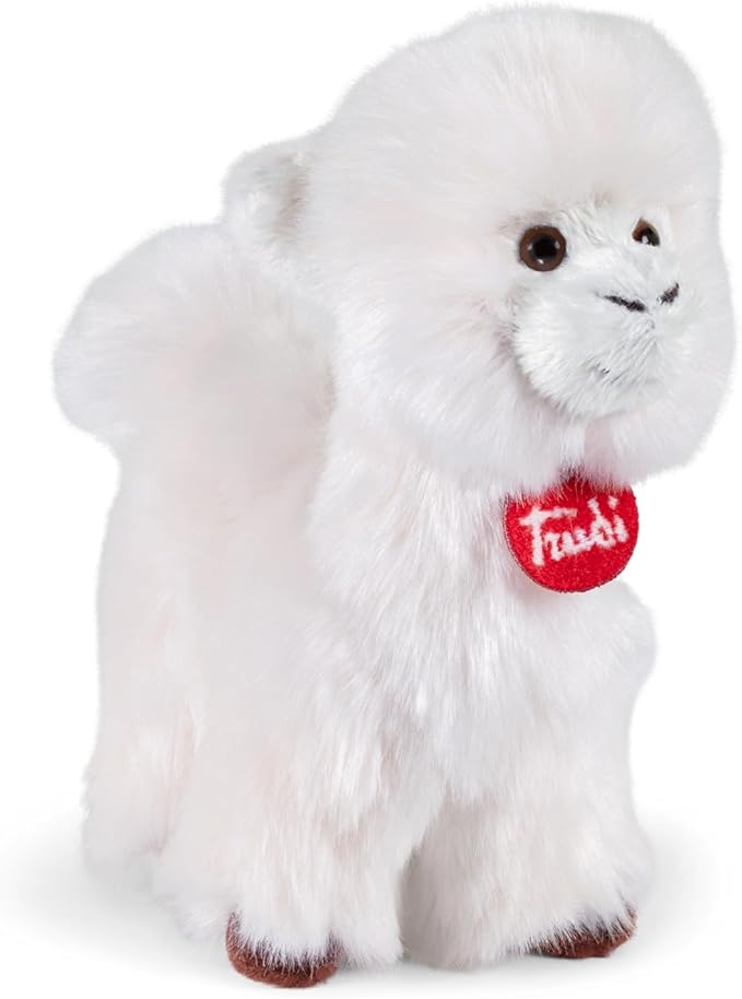 trudino - alpaca