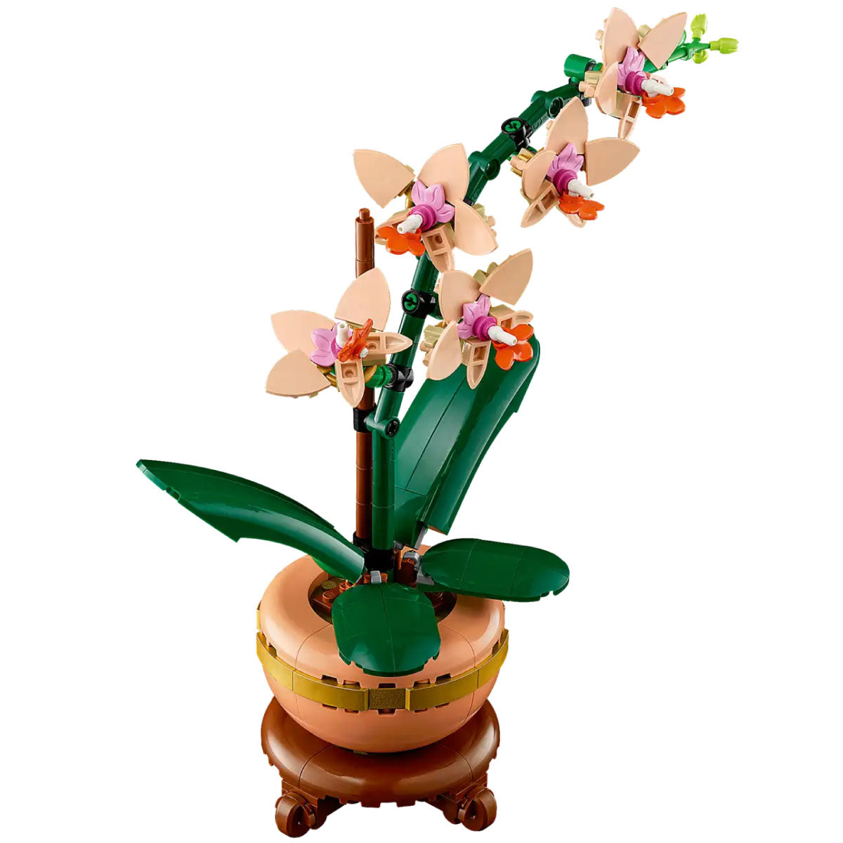 Botanicals 10343 mini-orchidea