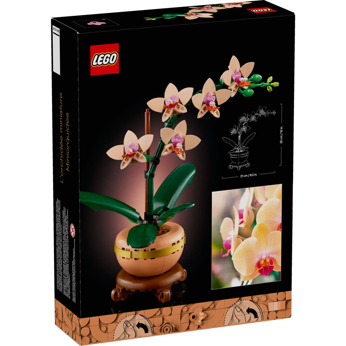 Botanicals 10343 mini-orchidea