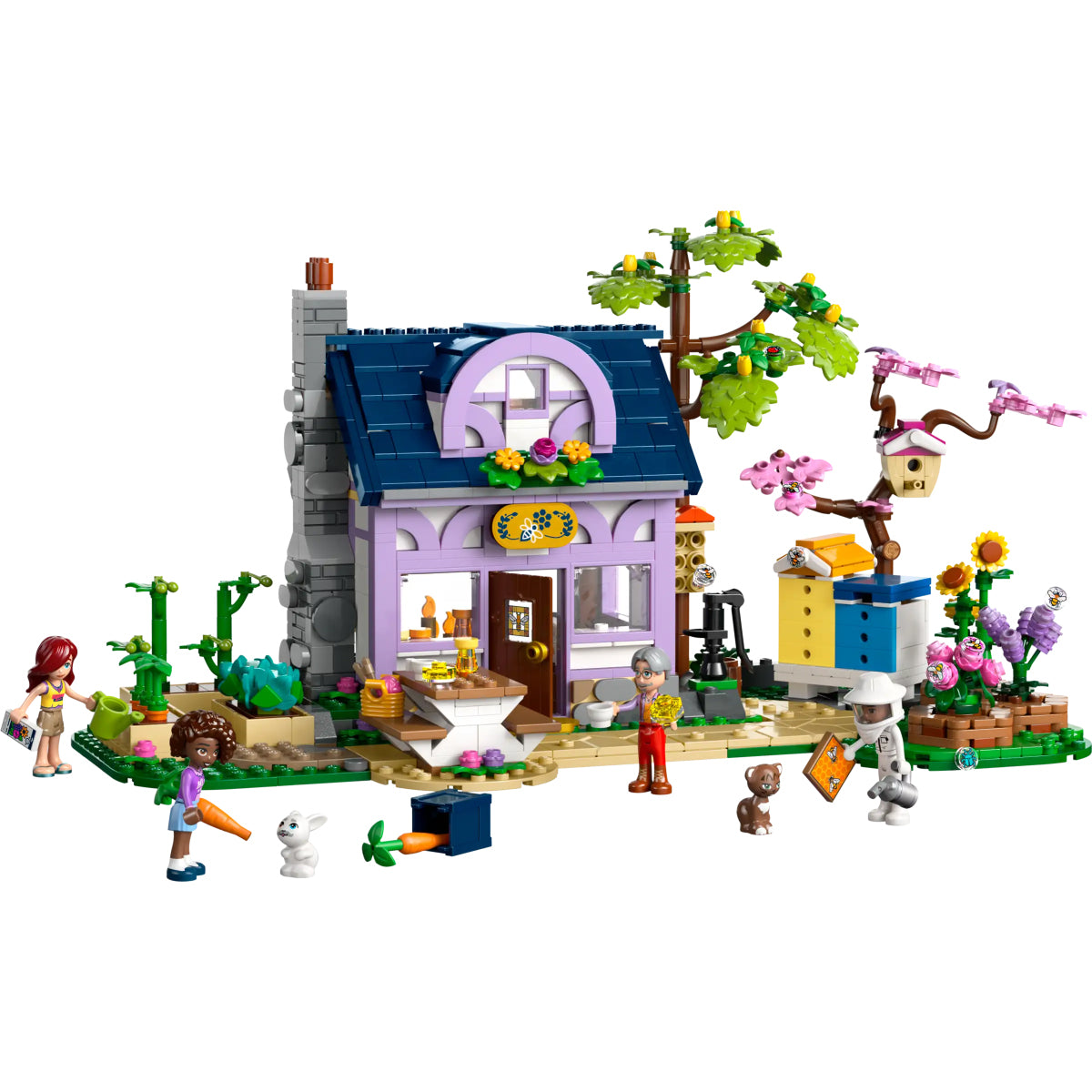 42669 - casa degli apicoltori e giardino fiorito