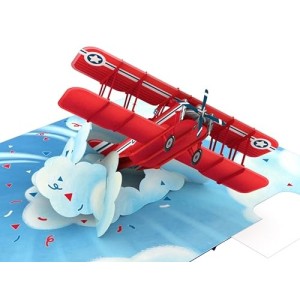 biglietto di auguri - aeroplano - kirigami