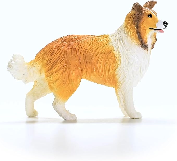 collie