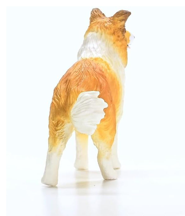 collie