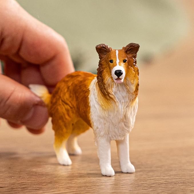 collie