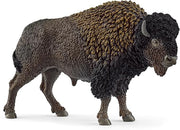 bisonte