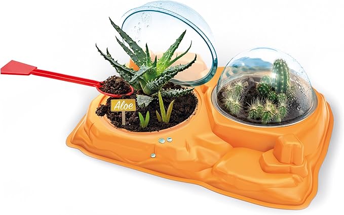 scienza & gioco lab - la botanica delle piante grasse