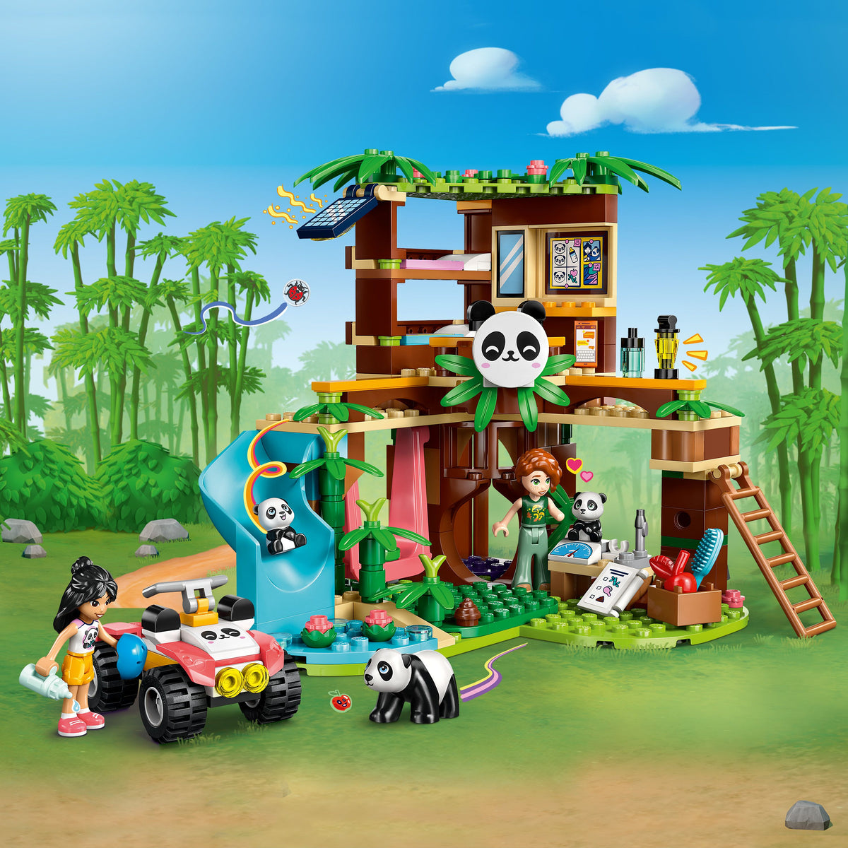 42648 - Il Santuario dei Panda