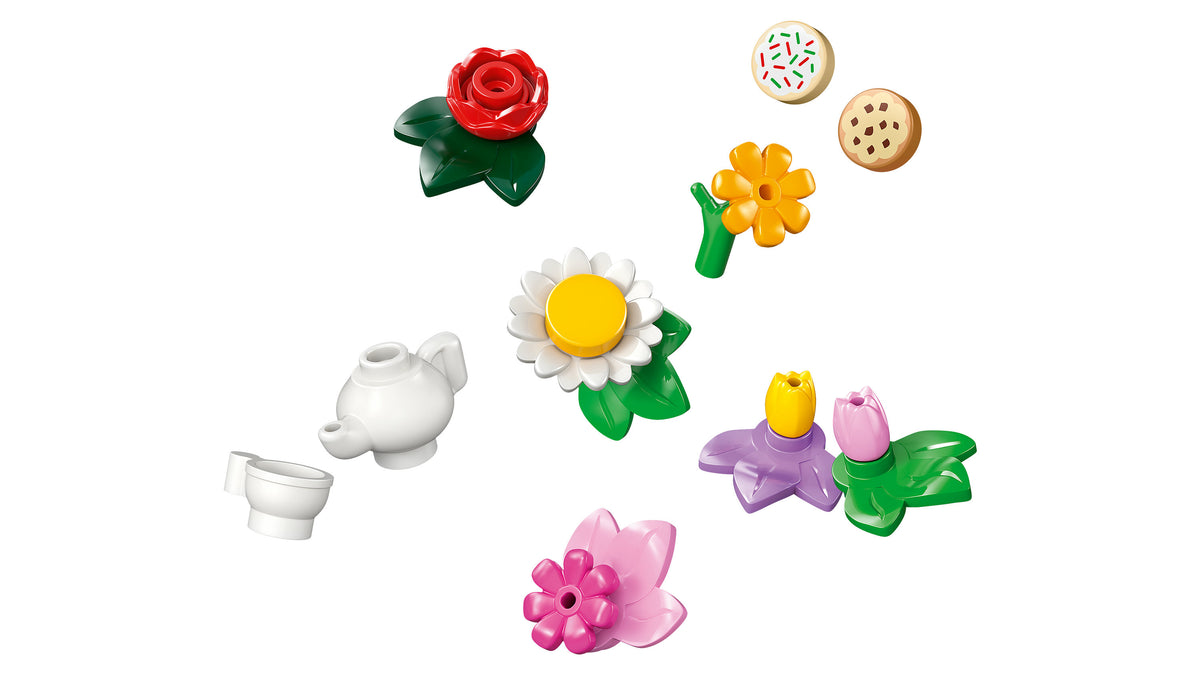 42671 - Caffè delle piante e Negozio di fiori
