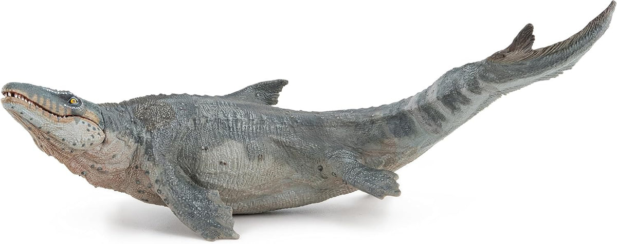 mosasaurus 25cm