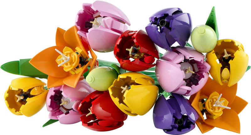 Botanicals 11501 bouquet di tulipani