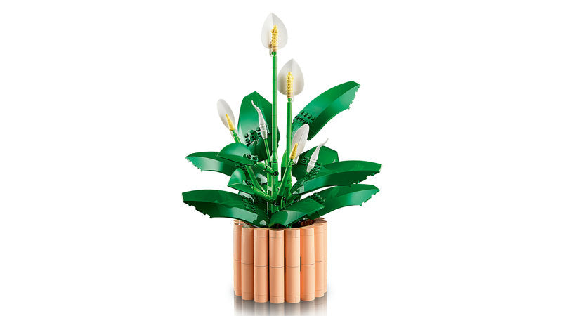 Botanicals 11504 spatifillo