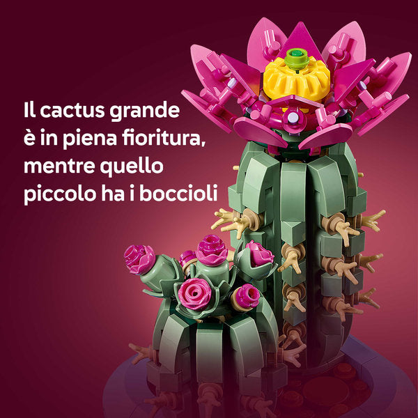 Botanicals 11509 cactus in fiore