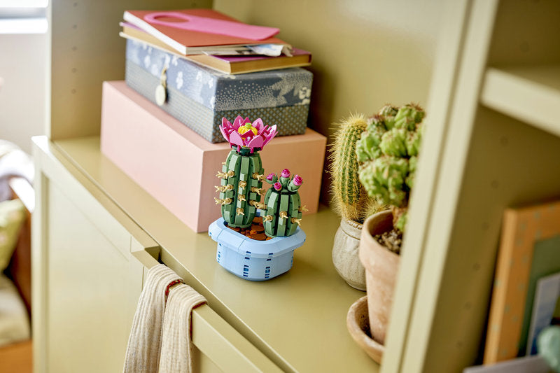 Botanicals 11509 cactus in fiore