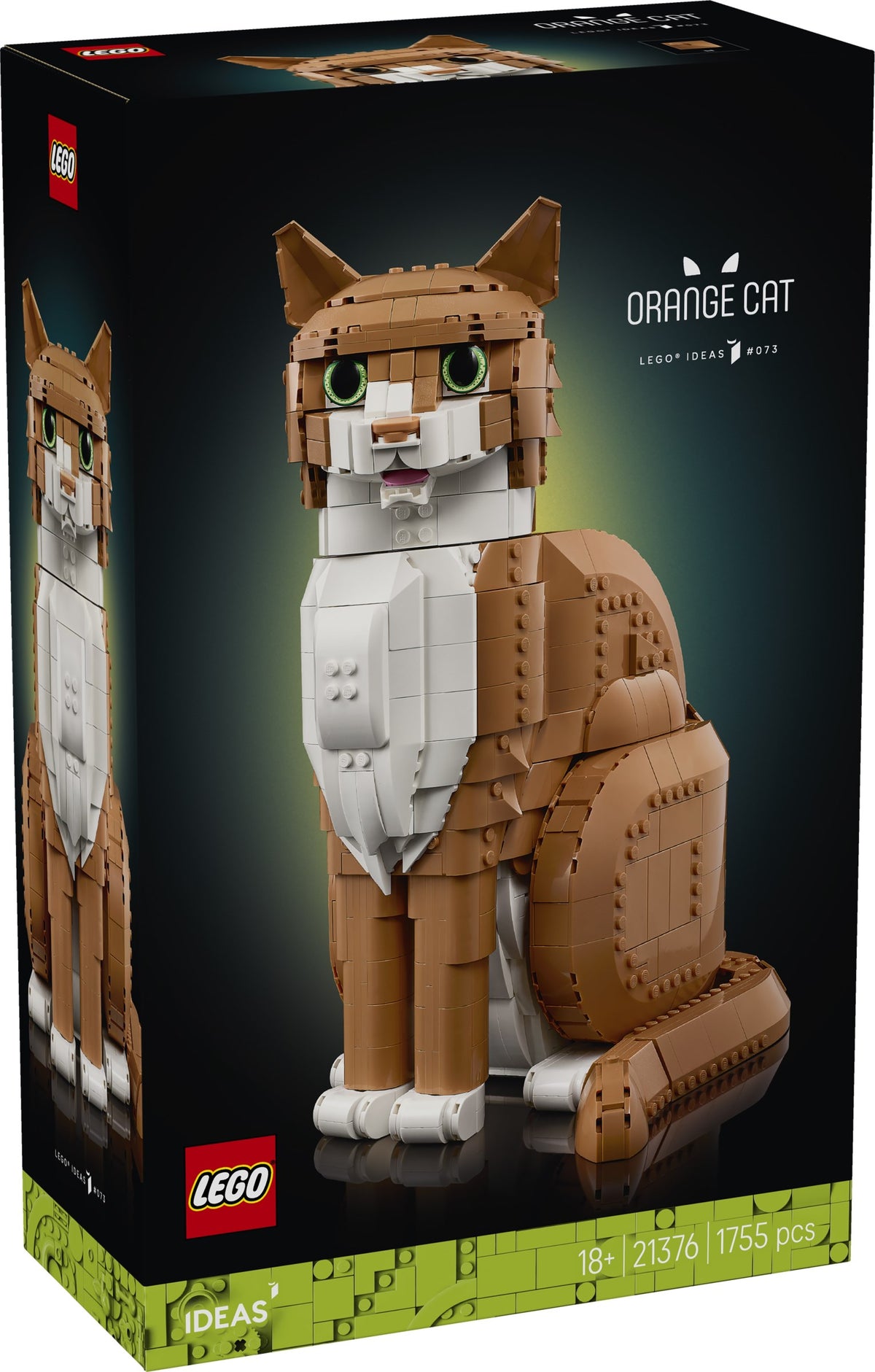 21376 - gatto soriano