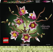 11510 - rametti di magnolia