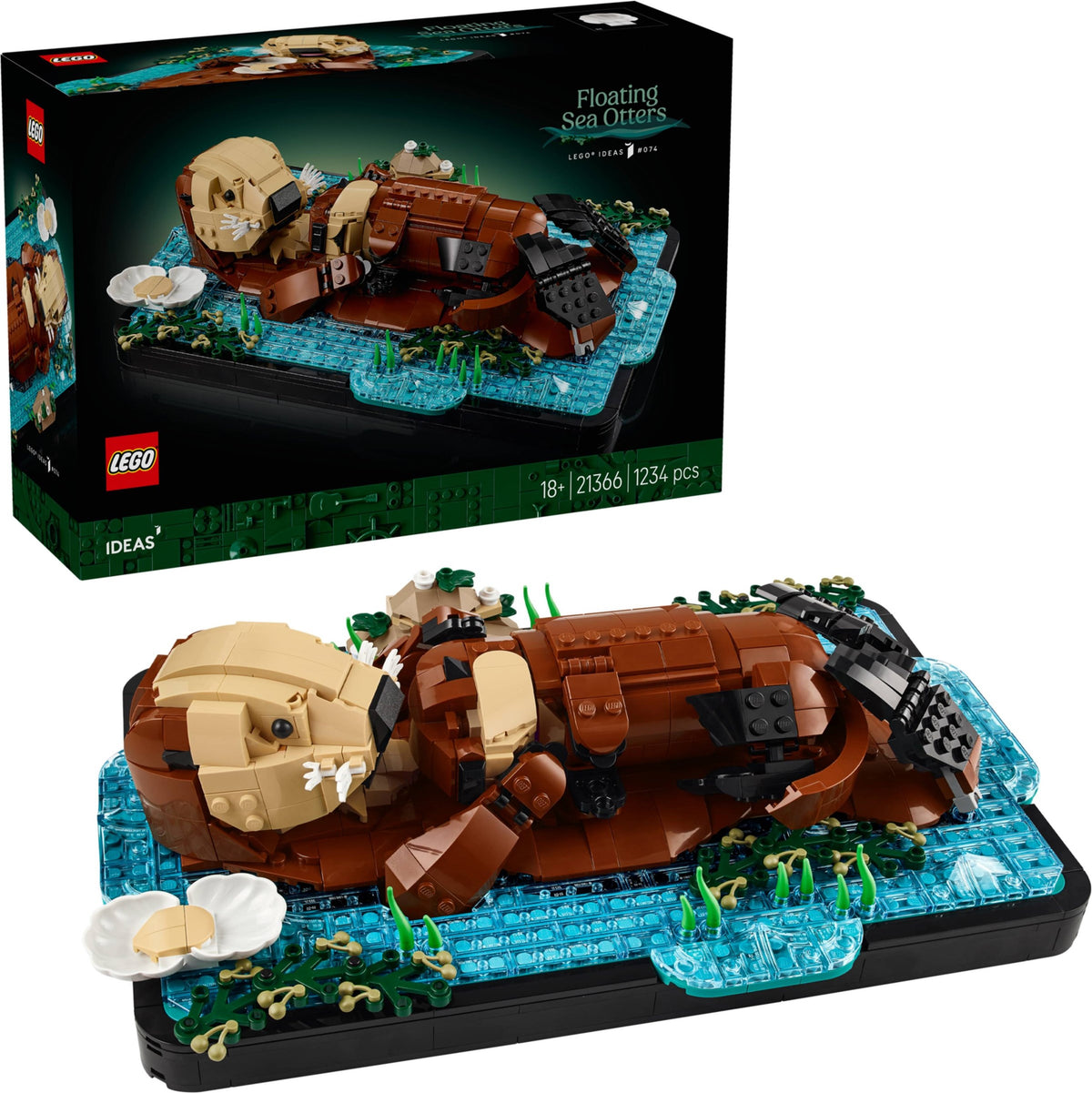 21366 - lontre marine