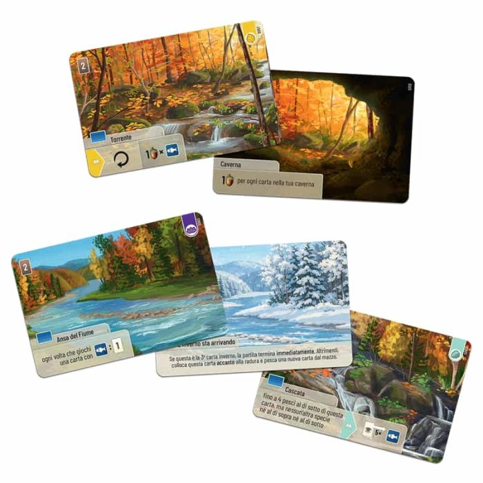 forest shuffle - smoky mountains