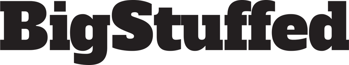 Logo BigStuffed
